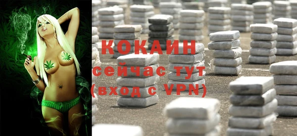 каннабис Белокуриха