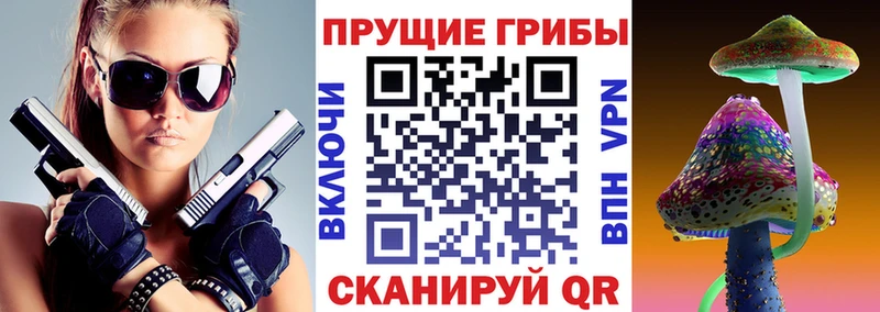 Псилоцибиновые грибы Psilocybine cubensis  kraken tor  Гатчина  наркота 