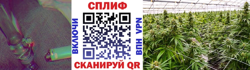 Каннабис White Widow  цена   Гатчина 